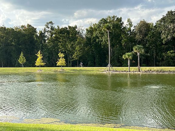 Water View from the back of the House