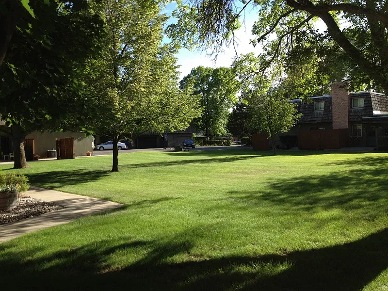 2 bed, 1.5 bath, 1104 sqft, $1,325 — Photo 2