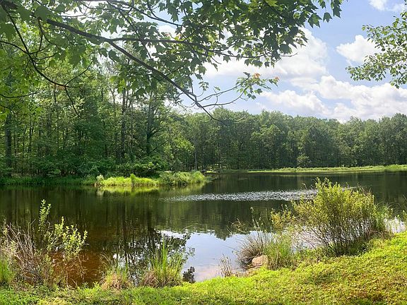 2nd image of 141 Wild Meadow Dr