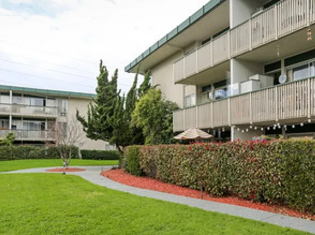 Tradewind Surf Apartments — Photo 1