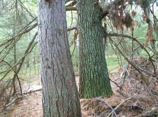 PARCEL 7 Cth U, Tomahawk, WI 54487