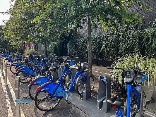 Rented by Brighton Management | media 2