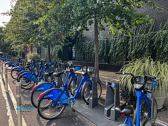 Rented by Brighton Management