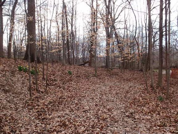 3rd image of 5494 Hill And Dale Dr