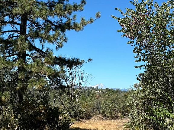 5th image of 0 Sugar Pine Camp Rd