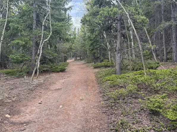 005 Roy Smith Road, Central City, CO 80427