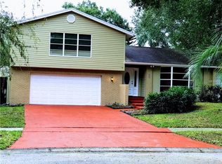 4006 Braesgate Ln, Tampa, FL 33624