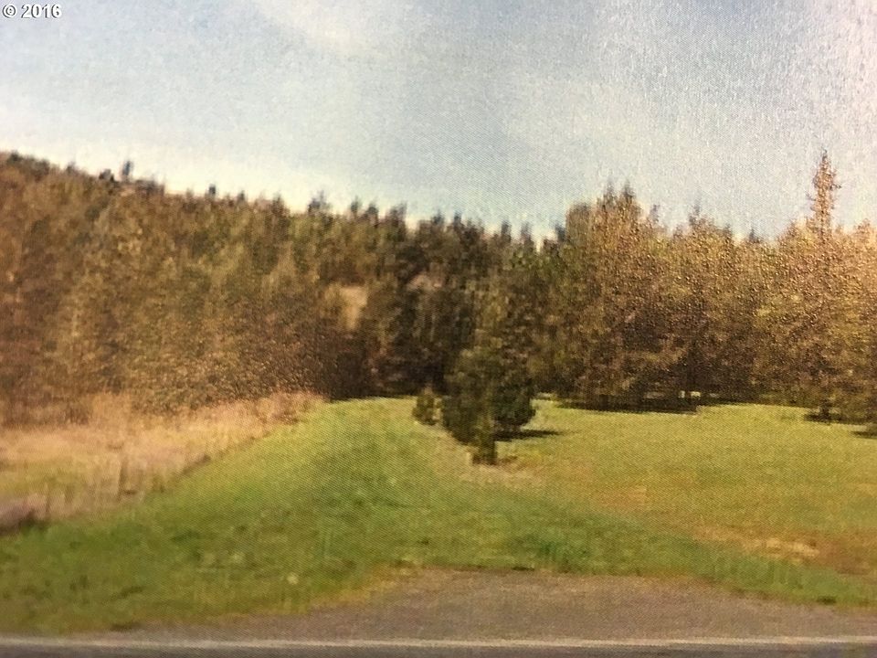 2nd image of 0 Eagle Valley Rd