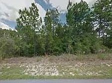 1st image of 11031 N Mataro Ave
