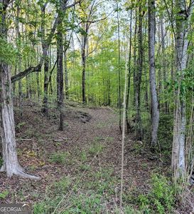 0 State Highway 116, Hamilton, GA, 31811