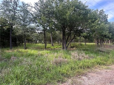 517 & 601 Deer Run Trl, Somerville, TX, 77879