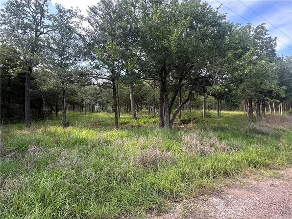 517 & 601 Deer Run Trl, Somerville, TX 77879