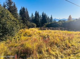 L1-B1 E End Rd, Homer, AK 99603