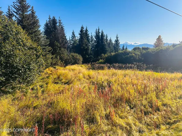 L1-B1 E End Rd, Homer, AK 99603
