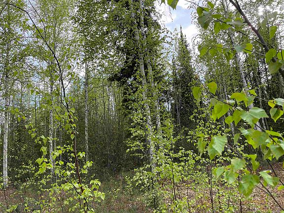 5th image of 4249 Chena Hot Springs Rd