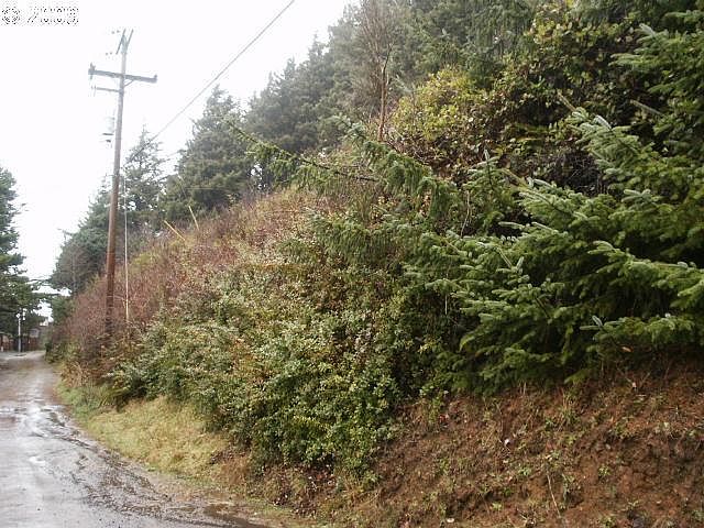 2nd image of Norwester Rd