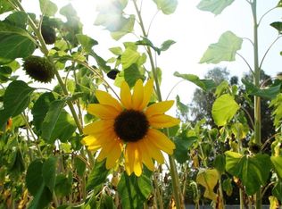 7931 El Reno Ave, Elverta, CA 95626