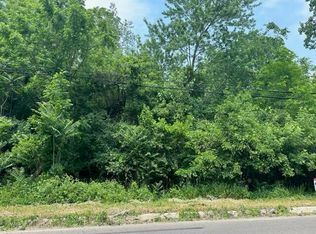 0 Evelyn St, Jackson, MI 49203