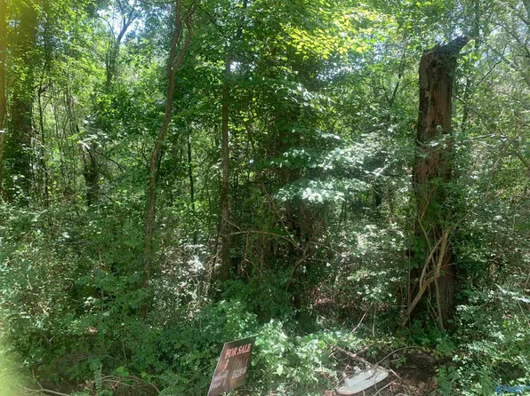 1 Brewer St SE, Hartselle, AL 35640