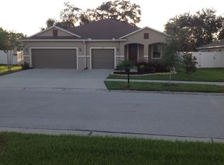 11105 Hartford Fern Dr, Riverview, FL 33569