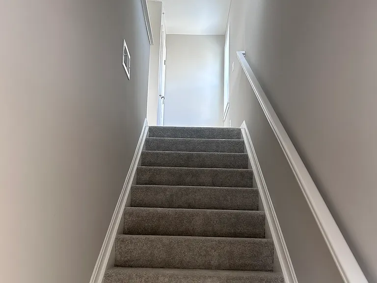 4262 Apple Branch Dr — Photo 2