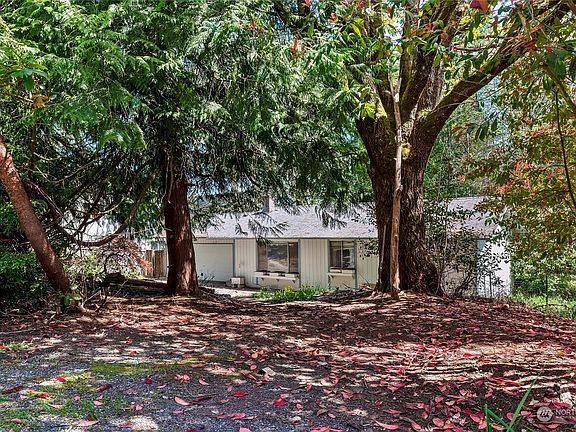 Privacy trees with circular driveway.>