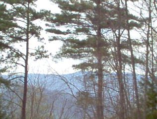 1st image of 0 Black Forest Rd