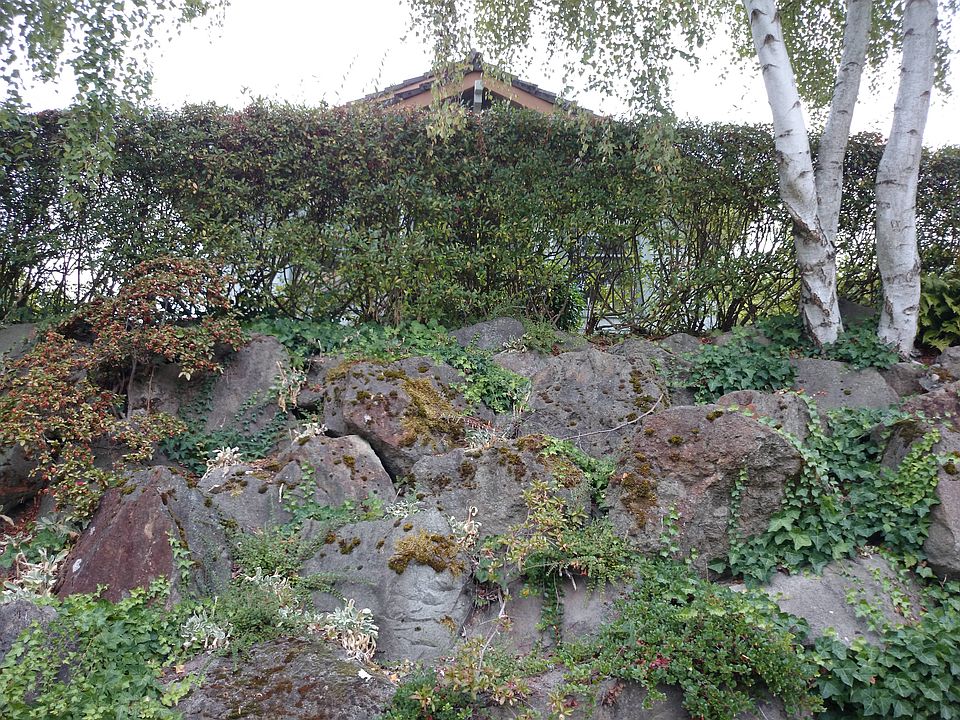 1st image of 4219 51st Ave S