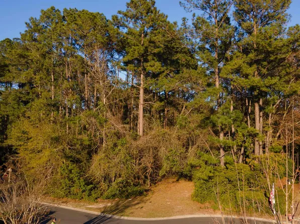 198 Coventry Pl., Pawleys Island, SC 29585
