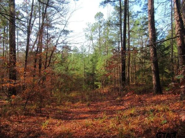 99.97 Ac Off Cres #3405, Jacksonville, TX 75766