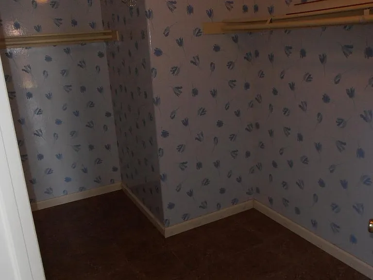 master walk in closet