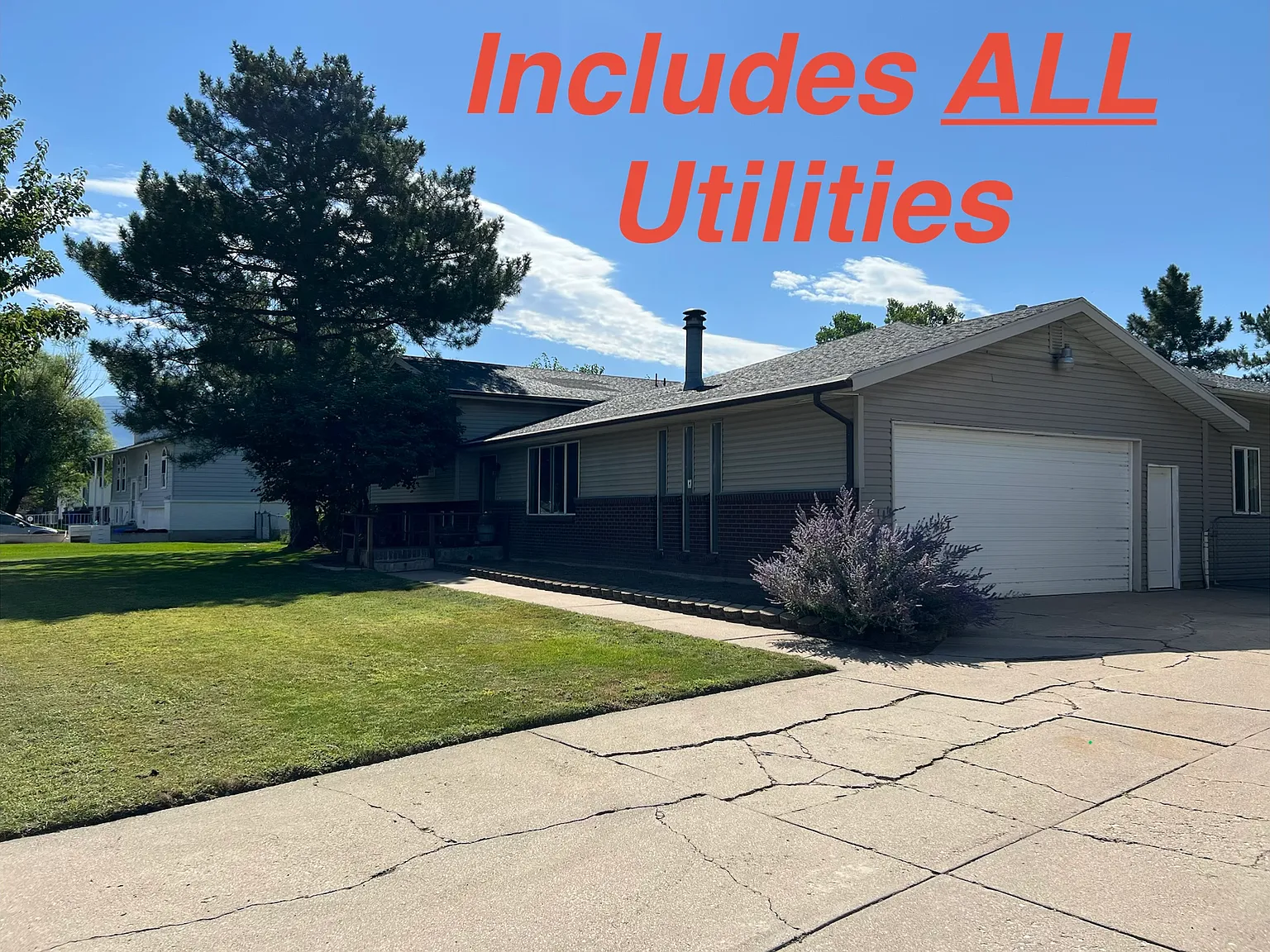 3 bed, 1600 sqft, $2,000 — Photo 1