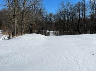 Edgewood Rd, Bellevue, MI 49021