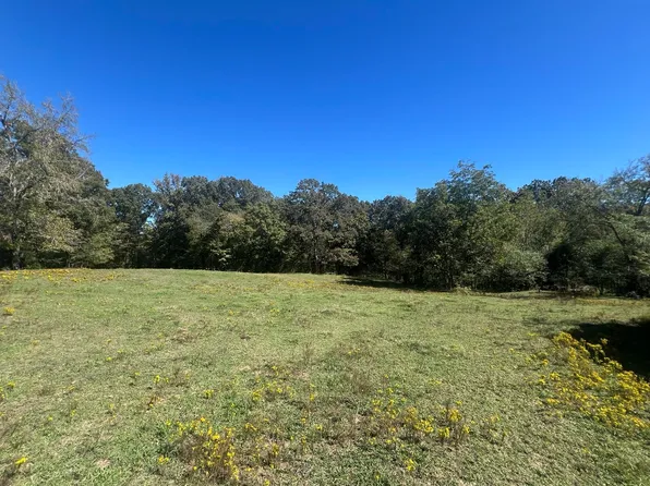 0 Walls Rd, Somerville, TN 38068