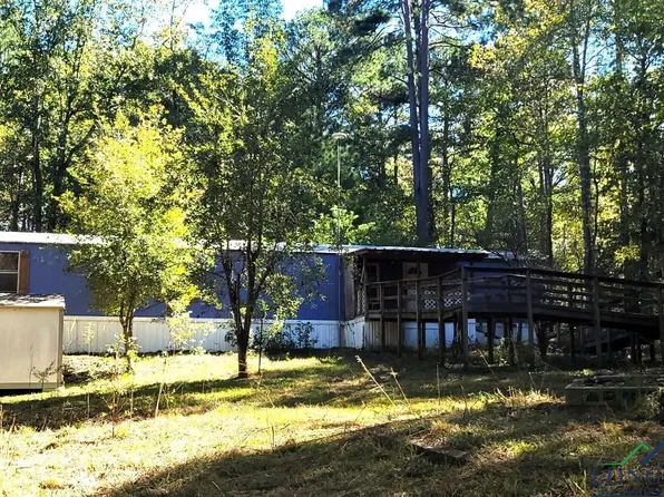 4441 County Road 1579, Avinger, TX 75630