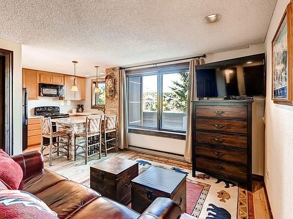 3rd image of 535 S Park Ave APT 218