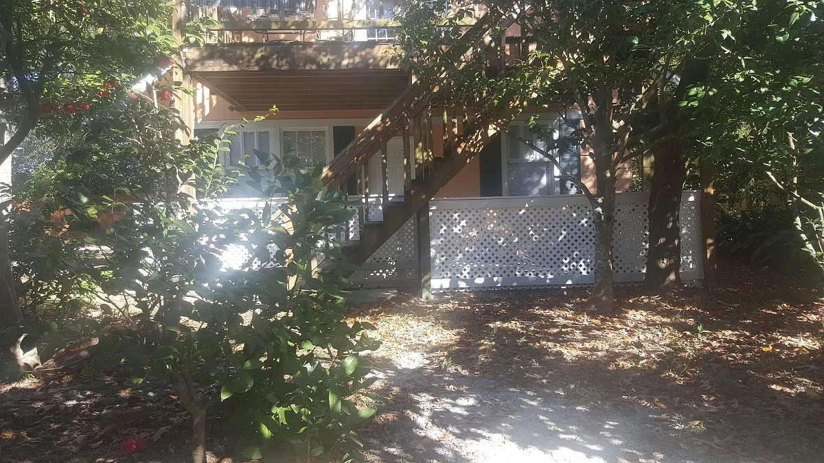 View from front. House sits back from road on a large, wooded lot with live oaks and camellias. - 830 Woodward Ave #A