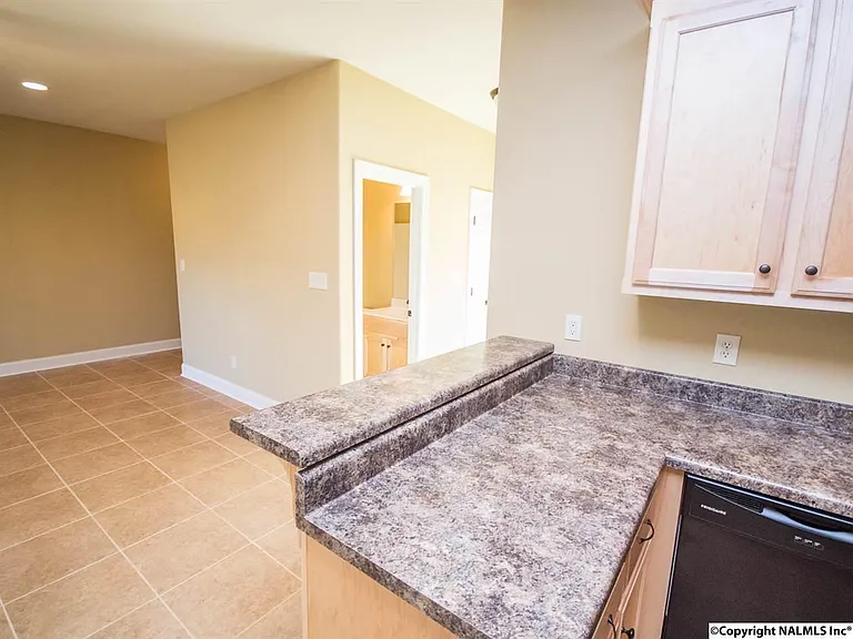 12077 Southern Charm Blvd — Photo 10