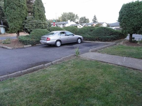 Front yard & parking