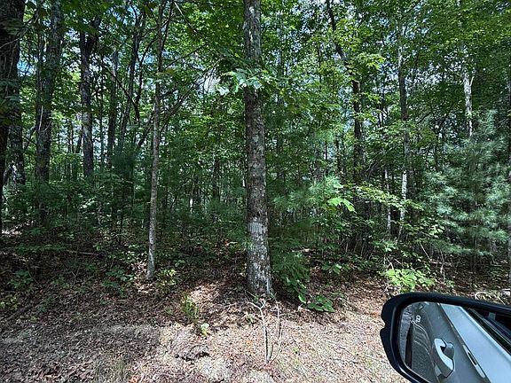 3rd image of Crooked Branch Cir