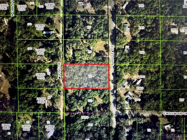 4818 N Maple Ter, Hernando, FL 34442