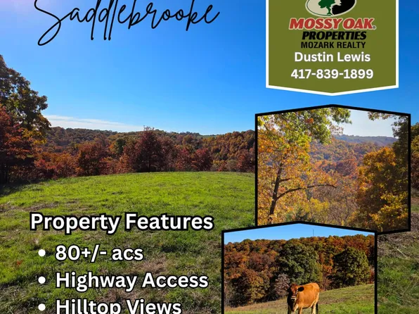 0 State Highway Bb, Chestnutridge, MO 65630