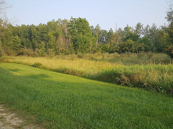 Land south of driveway