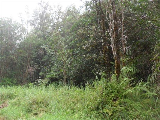 3rd image of 9 Road Koloa Maoli