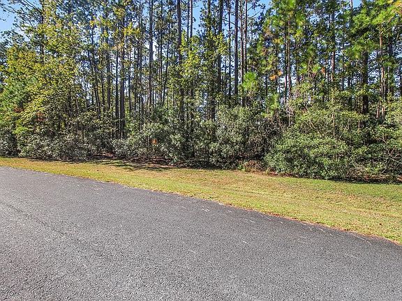 4th image of LOT 137 Sapelo Cir NE