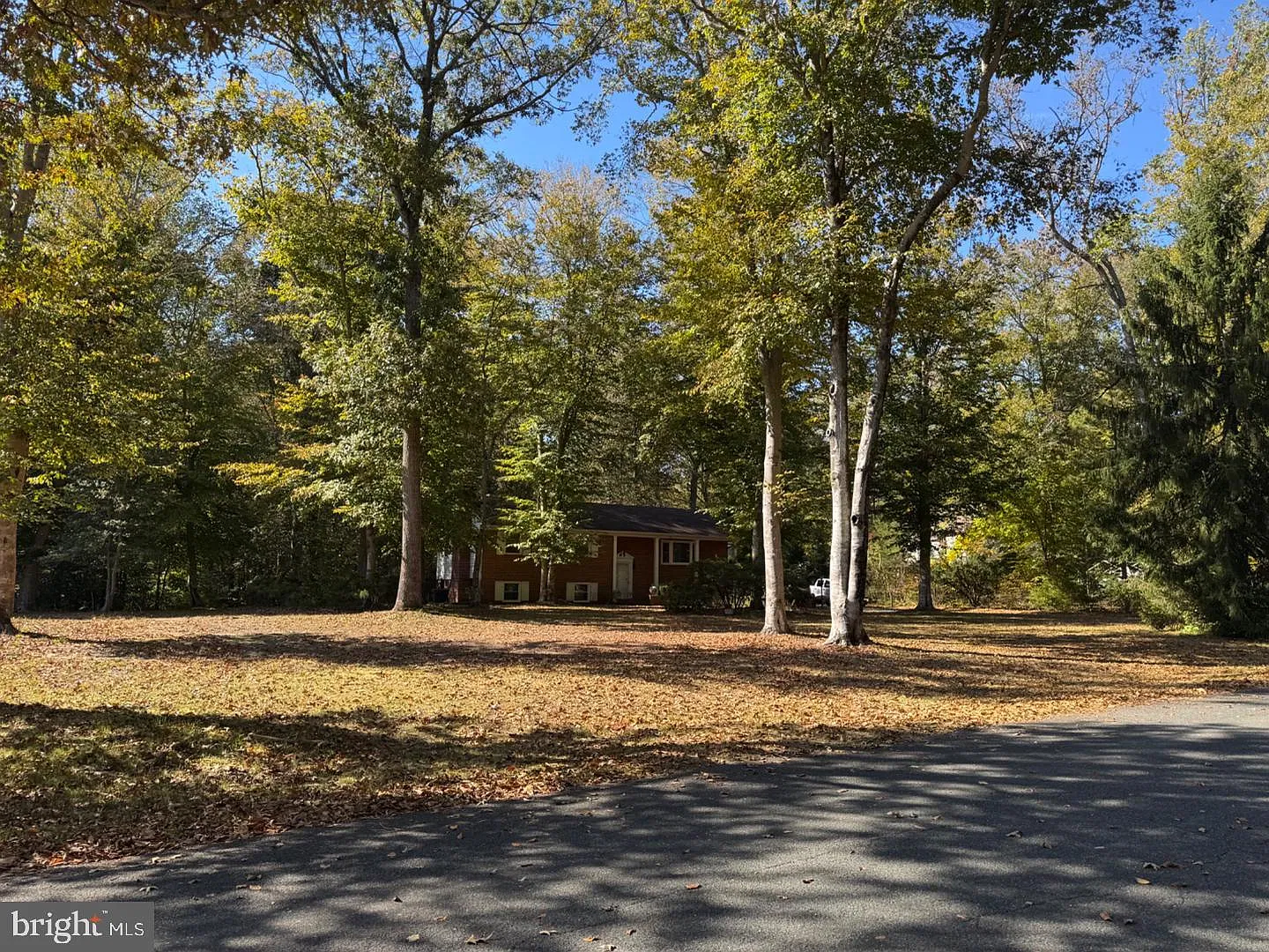 5 bed, 2.5 bath, 2344 sqft, $4,200 — Photo 3