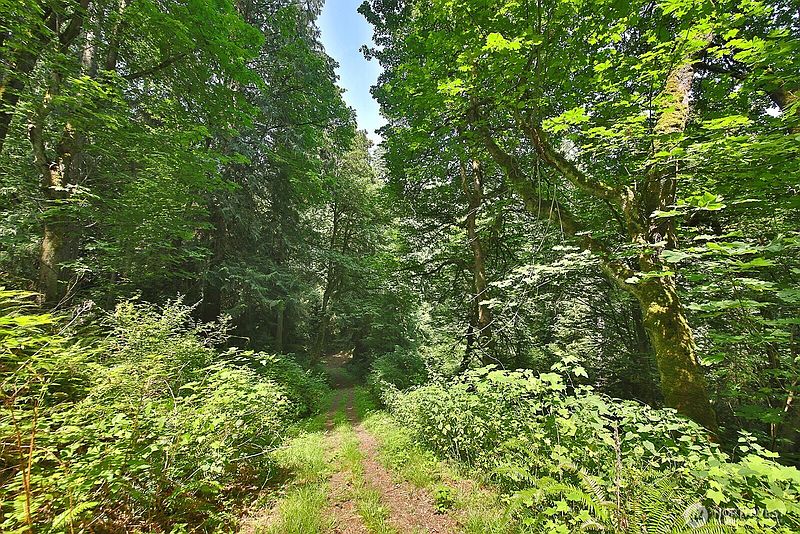 4th image of 0 XXX Hellman Road