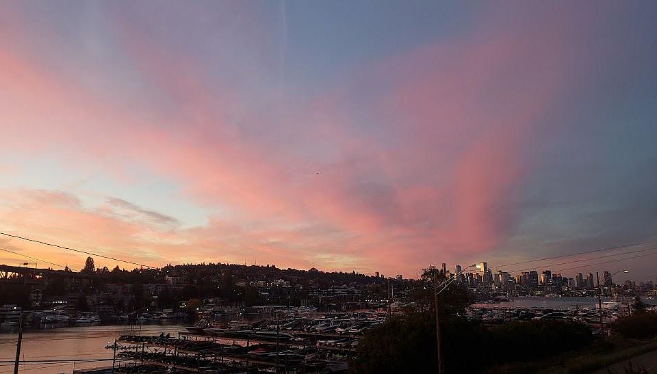 Lake Union View
