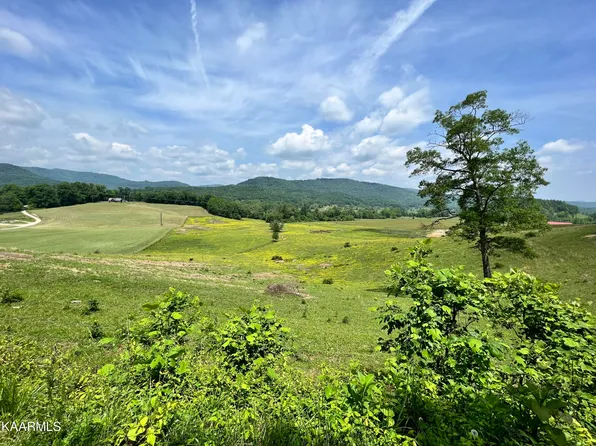 Red Cut Rd, Pioneer, TN 37847