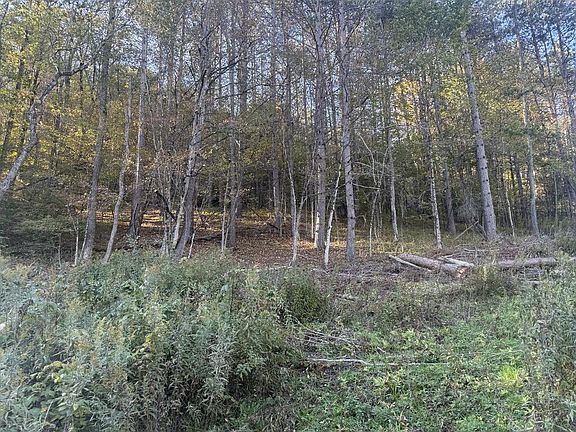 3rd image of 0 Loucks Mills Rd